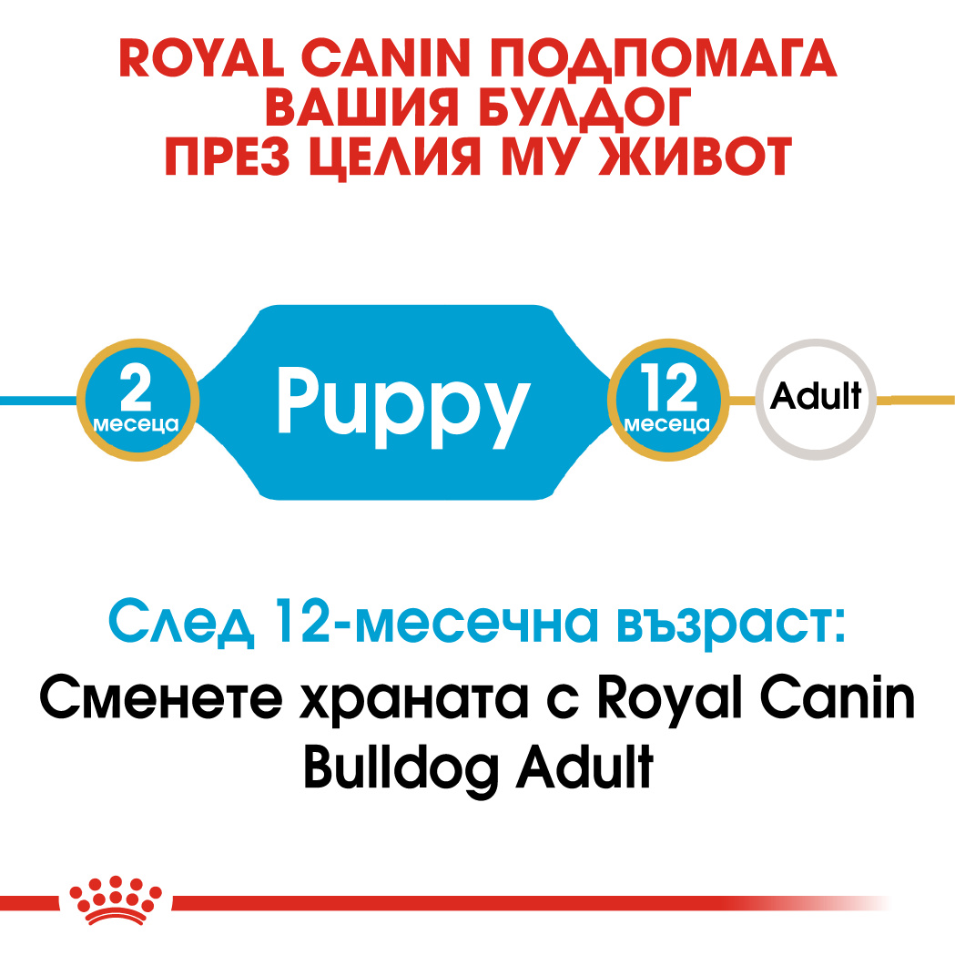 RC-BHN-PuppyBulldog-CM-EretailKit-1﻿-bg_BG