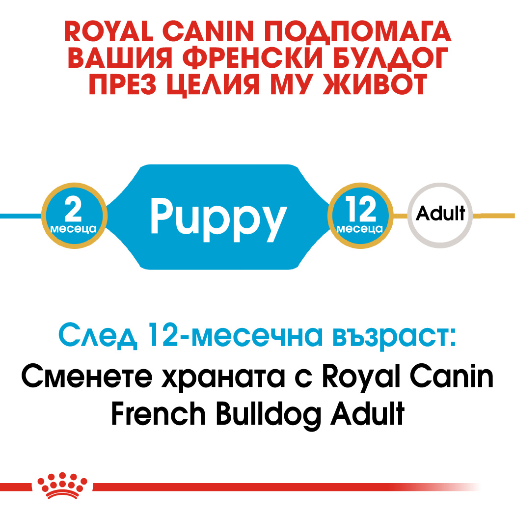 RC-BHN-PuppyFrenchBulldog-CM-EretailKit-1﻿-bg_BG