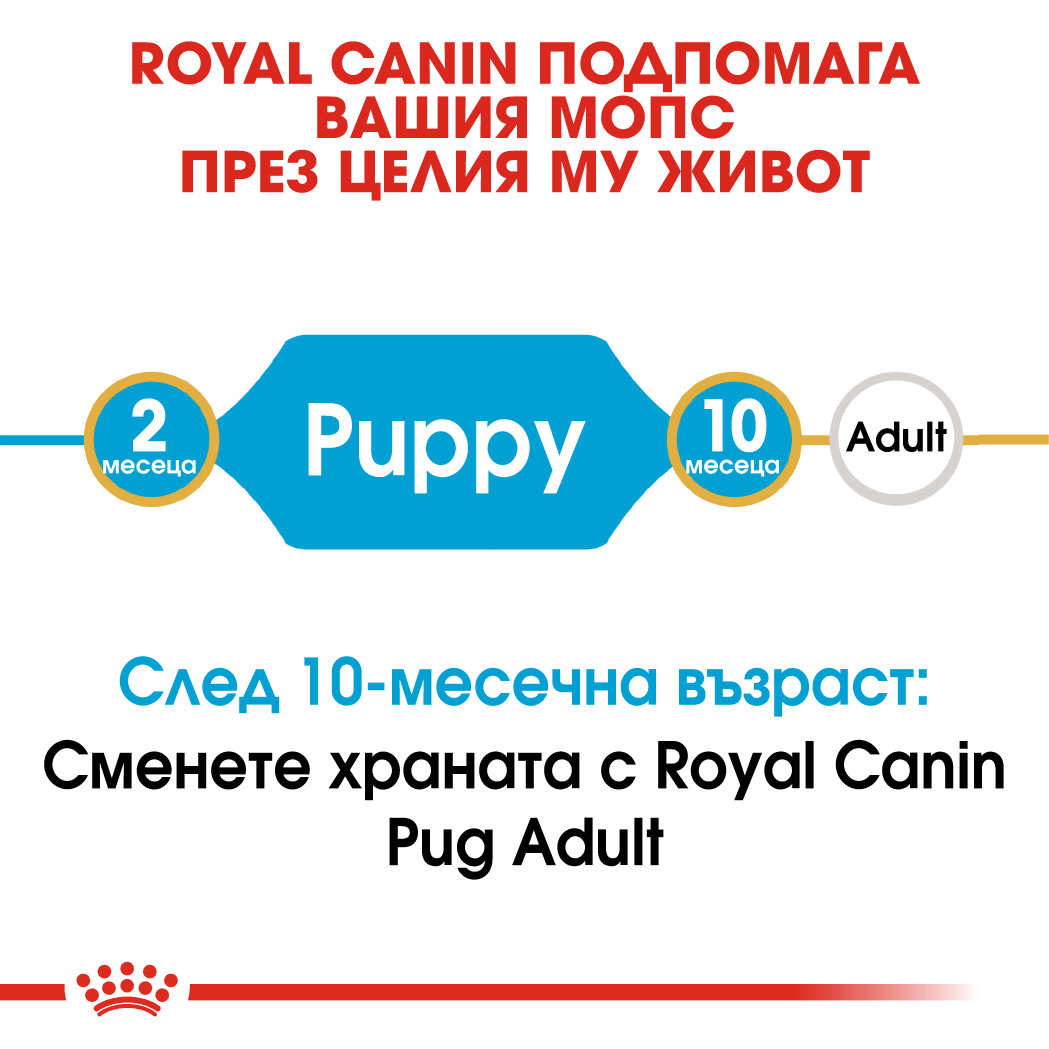 RC-BHN-PuppyPug-CM-EretailKit-1﻿-bg_BG