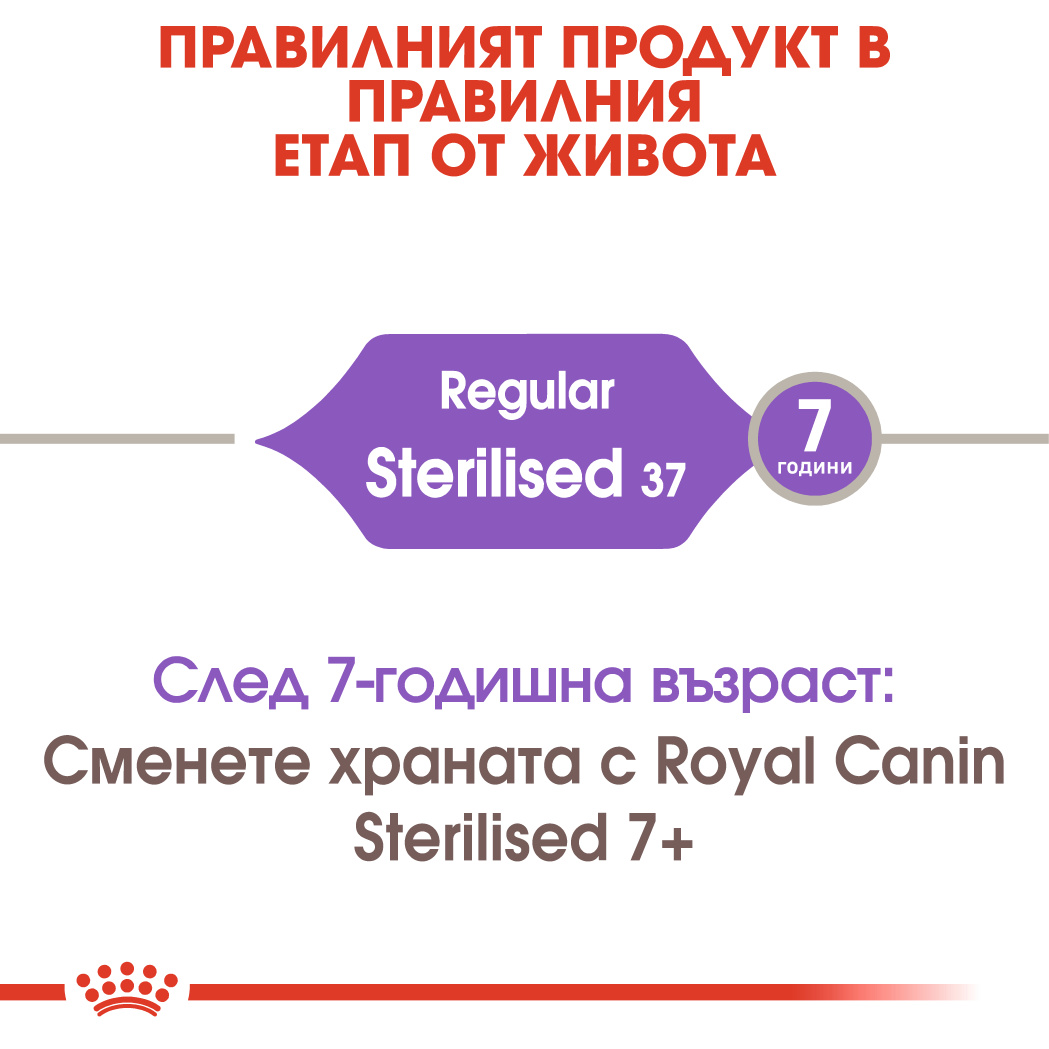 RC-FHN-Sterilised37-CV-Eretailkit-1﻿-bg_BG