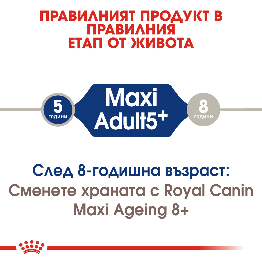 RC-SHN-AdultMaxi5-CV-EretailKit-1﻿-bg_BG