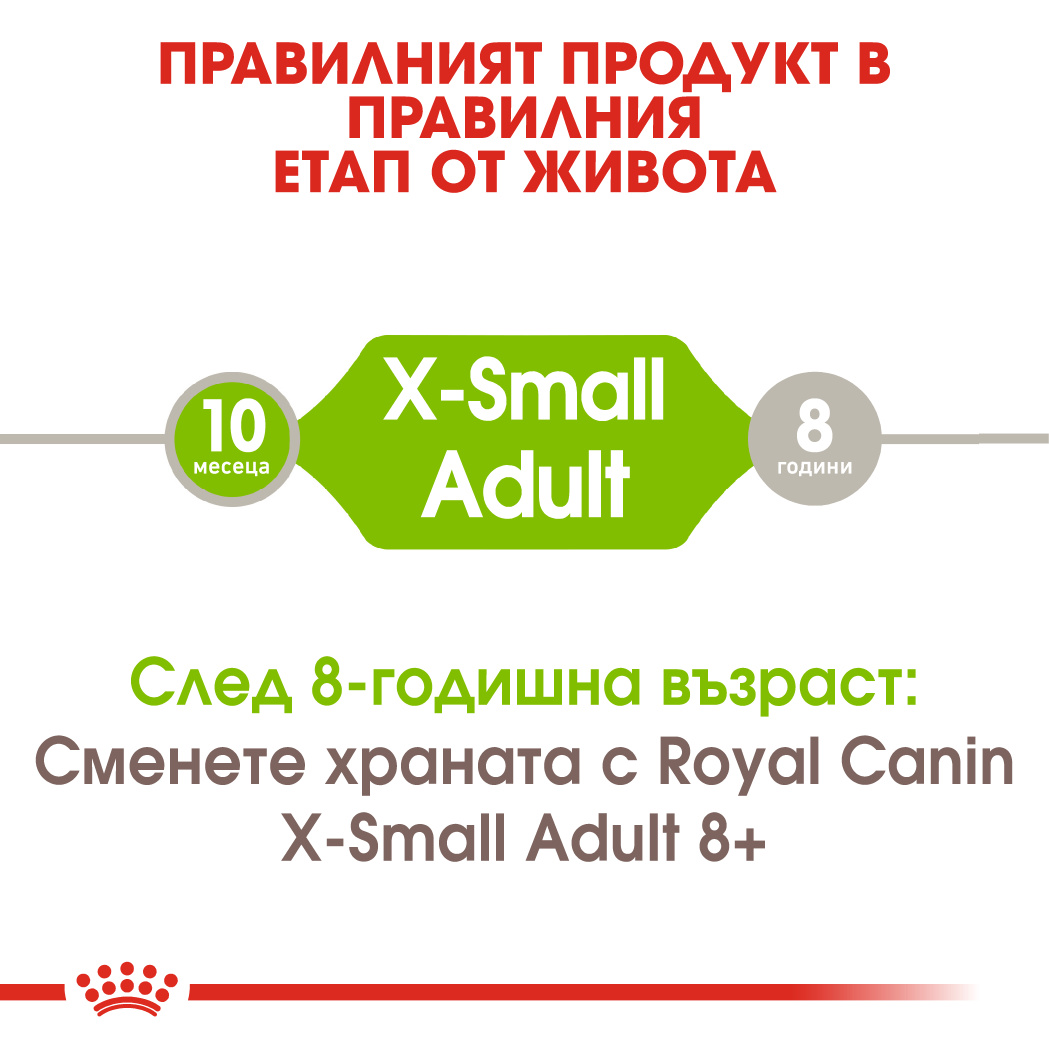 RC-SHN-AdultXSmall-CV-EretailKit-1﻿-bg_BG