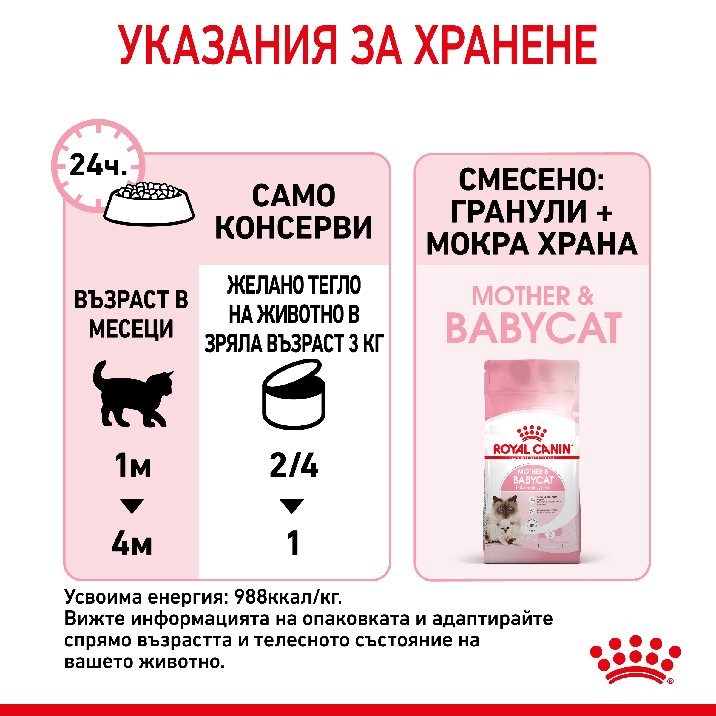 RC-SPT-WET-Babycat-CAN-CV-7-bg_BG